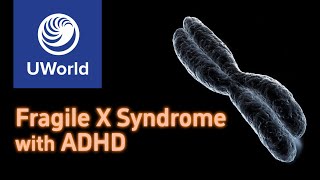 Fragile X Syndrome  symptomsdiagnosis  USMLE UWorld Step 1 Questions MBBS PLAB [upl. by Anastice846]