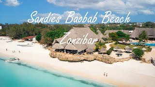 Sandies Baobab Beach Zanzibar [upl. by Aracot744]