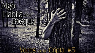 Los horrores del Bosque  Anécdotas de Guardabosques Campistas leyendas y mas  Podcast 5 [upl. by Puiia]