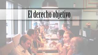 ¿Cuál es la diferencia entre derecho subjetivo y derecho objetivo [upl. by Eilzel800]