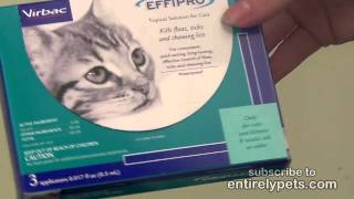 Virbac Effipro for Cats [upl. by Arrec257]