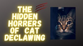 The Hidden Horrors of Cat Declawing [upl. by Adnot]