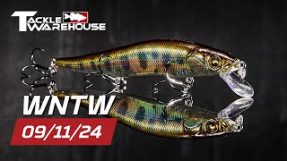 New LIMITED Run Megabass Baits Zappu Jig Heads And Scent Daiwa Inshore Rods And MORE [upl. by Rihat6]