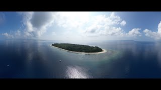 Diving at Metita Island Morotai [upl. by Limemann]