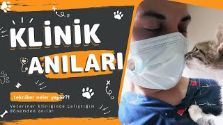 Laborant ve Veteriner Sağlık  Veteriner Kliniğinde Neler Yaptım [upl. by Elaina]