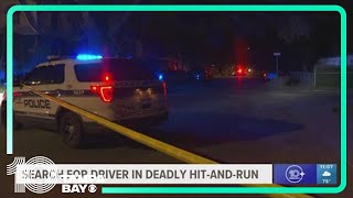 St Pete police searching for driver involved in deadly hitandrun with stolen vehicle [upl. by Nnylakcaj30]