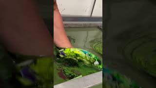 Hydro Dipping satisfying hydrodipping [upl. by Guod]