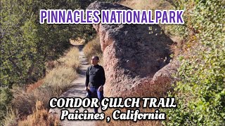 A hike at Condor Gulch Trail Pinnacles National Park Paicines California [upl. by Salazar]