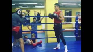 Uzbek boxer Shohjahon Ergashev training [upl. by Acysej]