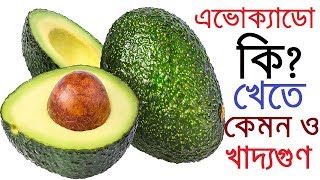 what is avocado   এভোক্যাডোর খাদ্যগুণ ও সাধ  avocado in bangladesh [upl. by Sitelc]