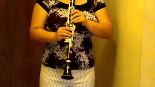 Buffet Crampon E11 Bb Clarinet [upl. by Tertius550]