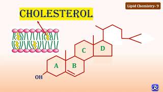 9 Cholesterol Structure amp Functions  Lipid Chemistry9  Biochemistry  NJOY Biochemistry [upl. by Holli]