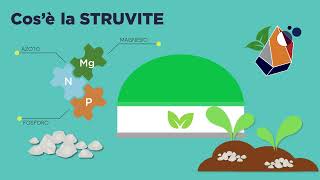 Presentazione del progetto Struvite [upl. by Hannus]