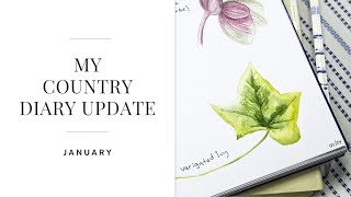 Artist Creates her Own Country Diary  January [upl. by Maddis952]