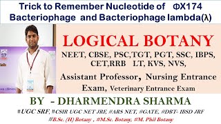 Trick to Remember Nucleotide of ΦX174 Bacteriophage and Bacteriophage lambda λ [upl. by Ahsenor]