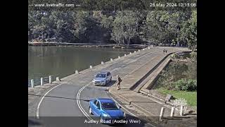 Audley Road Audley Weir Sydney  2024May26  Australia [upl. by Giulio]