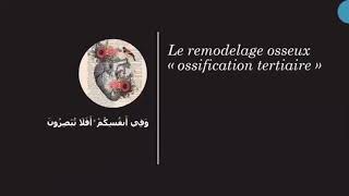 le remodelage osseux  تجديد العظم [upl. by Wolbrom752]