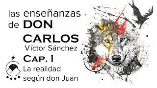 EP 1  La realidad según don Juan  Las enseñanzas de DON CARLOS  Víctor Sánchez  Chavenato [upl. by Rolfe284]