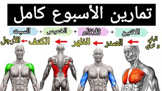 خطة تدريبية لمدة اسبوع كامل لبناء العضلات  تمارين كمال الأجسام [upl. by Tohcnarf492]