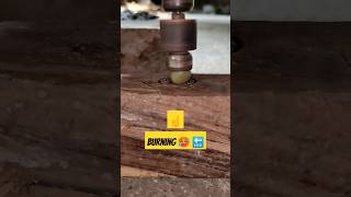 Burning of seed  drilling wood 🪵🪵woodworking wood viral experiment shorts youtubeshorts [upl. by Ahsiket304]