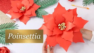 LARGE Paper POINSETTIA Flower Template trailer [upl. by Aretha210]