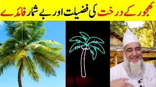 Virtues and numerous benefits of palm tree  Mufti Zarwali Khan Official [upl. by Caesaria]