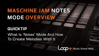 Native Instruments Maschine Jam  Notes Mode Explained  Loop Quick Tip [upl. by Enomed444]