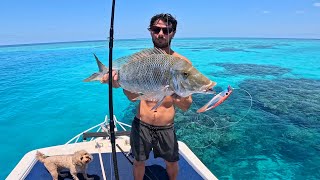 Sleeping On The Great Barrier Reef In Perfect Conditions [upl. by Anu91]