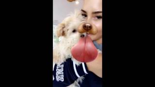 Demi Lovato Snapchat Story 21 March  14 April 2017 [upl. by Arsuy]