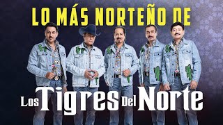 Lo Más Norteño de Los Tigres Del Norte [upl. by Arahahs]