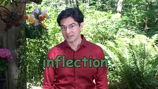 Inflection In English Language and Grammar  A Quick and Cozy Introduction [upl. by Introk]