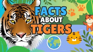 Amazing Facts about Tigers  Tigers for Kids [upl. by Prior]