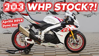 KING OF POWER The NEW Aprilia RSV4 Puts Down HUGE Horsepower [upl. by Trudi]