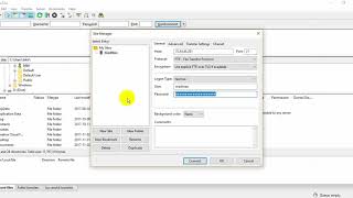 How to Use Filezilla FTP Client [upl. by Ycnaffit]