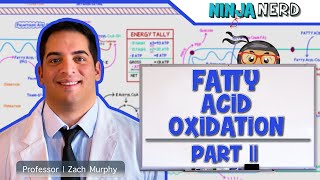 Metabolism  Fatty Acid Oxidation Part 2 [upl. by Melburn]