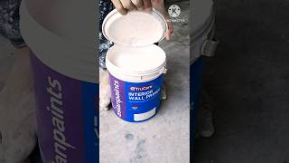 🏠TruCare INTERIOR WALL PRIMER Asian Paints shorts viral painting art wallpaint design work [upl. by Aubree815]