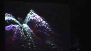 xxxy visuals w Murcof live  MIT ending concept Roma [upl. by Darrej]