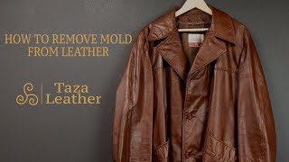 How to Remove Mold From Leather  Clean Leather 100 Naturally  Taza Leather  How To Tutorial [upl. by Nolra]