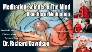 Meditation Science amp The Mind  Pt 1  Dr Richard Davidson  Benefits of Meditation on the Brain [upl. by Shanleigh]