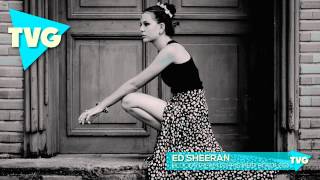 Ed Sheeran  Bloodstream Chris Meid Bootleg [upl. by Consolata]