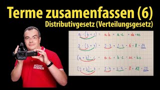 Terme zusammenfassen 6  Distributivgesetz  Verteilungsgesetz  Lehrerschmidt [upl. by Ahcirt]