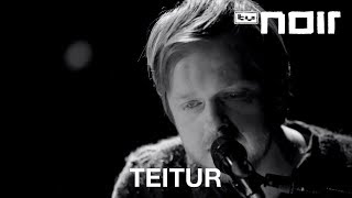 Teitur  Ein Elefant für dich Wir sind Helden Cover live bei TV Noir [upl. by Klug]