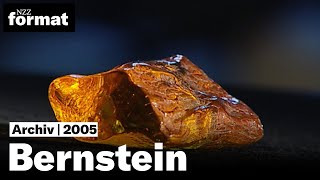 Bernstein Die Geheimnisse des brennenden Steins  Dokumentation von NZZ Format 2005 [upl. by Vanni812]