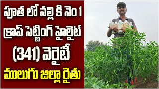 ములుగు జిల్లా మిరప రైతు నల్లికి వాయు యంత్ర no1👌chilliyantra YK Laboratories black thripsInsects [upl. by Still485]