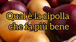 Quale cipolla ha più benefici rossa o dorata [upl. by Tod]