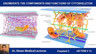 ENUMERATE THE COMPONENTS AND FUNCTIONS OF CYTOSKELETONCH 2 LEC 10 [upl. by Ewer]