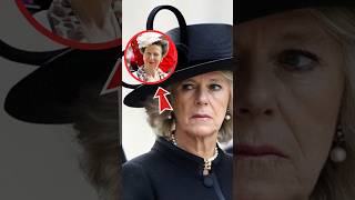 Princess Anne Takes Down Camilla Over Broken NonCompete Promise shorts catherine kate [upl. by Alain367]