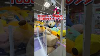 フック船長の1000円チャレンジ🪝【主人のあだ名】クレーンゲーム1000円チャレンジ [upl. by Seppala]