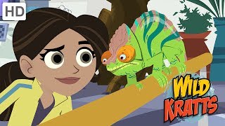 Wild Kratts  Discovering the Secrets of the Animal Kingdom [upl. by Ettennaj859]