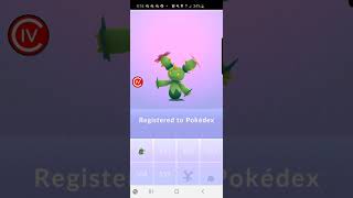 Pokemon Go 2020 Maractus Dex Entry Trade [upl. by Yaeger]